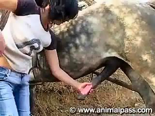 Horse cum in mouth - compilation beastiality porn